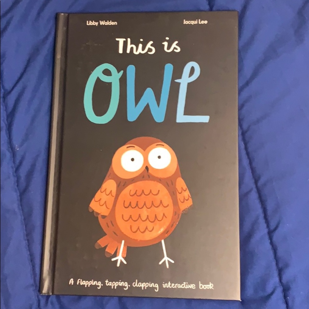 Usborne Books - This is Owl